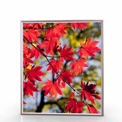 43 Inch Wifi Cloud Bingkai Foto Digital LCD Signage Bingkai Foto Android